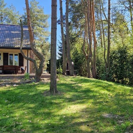 Domek nad Narwią Dlugosiodlo Zewnętrze zdjęcie